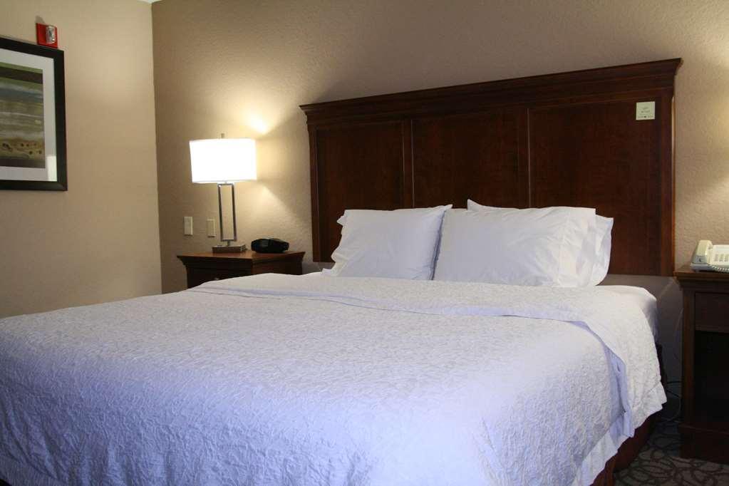 Hampton Inn גיינסוויל חדר תמונה