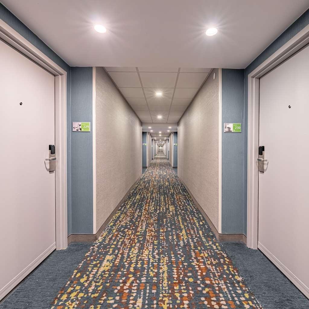 Hampton Inn גיינסוויל מראה פנימי תמונה